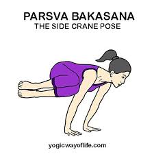 Bakāsana = baka + āsana. Parsva Bakasana Side Crane Pose Yogic Way Of Life