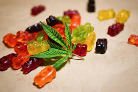 cbd oil and fertility