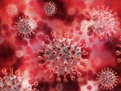 We did not find results for: Coronavirus News Find Latest News Updates And Cases Effected By Coronavirus Ndtv