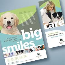 Deep creek veterinary hospital is located in chesapeake, va. All Pets Vet Clinic Narrabri The Y Guide