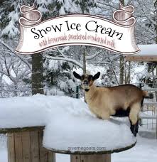 Ice cream recipe without icecream maker | homemade ice cream recipe. Make Some Snow Ice Cream If You Give A Girl A Goat