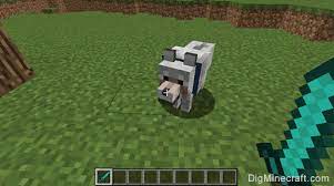 In this video, we are going to be learning about to change a tamed dog's collar color. Customize The Color Of Your Dog S Collar In Minecraft Game Commands And Cheats Minecraft Color Dog Coloring