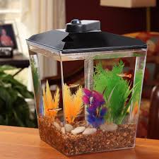 If you are searching for betta fish tanks with plants that could allow your precious betta fish to swim around freely, there is one highly recommended product that can do the job. Kollercraft 1 Gallon Corner View Aquarium With Under Gravel Filter System Check Out The Image By Visiting T Best Aquarium Fish Fish Tank Hermit Crab Habitat