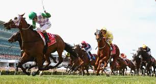 5 of the craziest Melbourne Cup moments ever