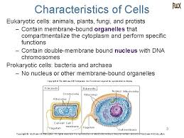 We did not find results for: Chapter 4 A Survey Of Prokaryotic Cells And