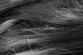 You may need to alter your hair care routine to accommodate the different texture. Black And White Of Dirty Tangled Hair Stock Photo Image Of Lock Highlight 103996318