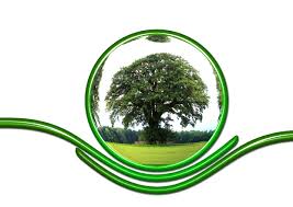 Free Images : tree, plant, environment, line, green, circle, globe, world, eco, ecology, earth, globalization, planet, conservation, protection, protect, graphics, global, responsibility, product design, grass family 4961x3508 - - 1334150 - Free stock ...