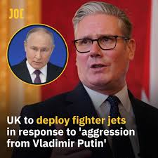 It is the second-largest spider fossil ever found 😳