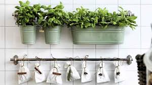 El antes y el después de un hogar con plantas de interior. 8 Ideas Originales Para Decorar La Cocina Con Plantas