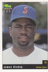 James Bishop Gallery