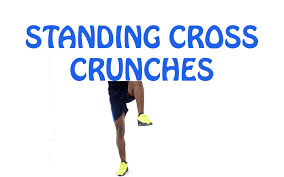 How To Do Standing Cross Crunches Exercise Gif Flab Fix Browse this and over 2,000 other exercises in the free workout trainer app for ios and android. do standing cross crunches exercise gif
