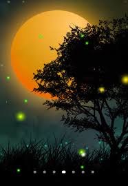 Beautiful Home Screen Hd Wallpaper For Mobile
