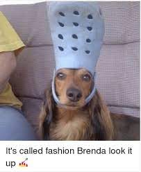 It S Called Fashion Look It Up Know Your Meme