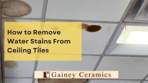 Remove Water Stains From Ceiling Tiles