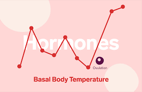 Ovulation And Temperature Tracking Fertility Natural Cycles