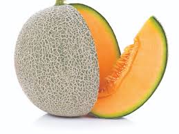We did not find results for: What S So Complicated About Cantaloupe Plenty Seed World
