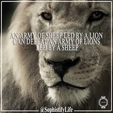 Can the net harness a bunch of volunteers to help bring books in the public domain to life through podcasting? Quotes About Sheep Aphrodite Inspirational Quote