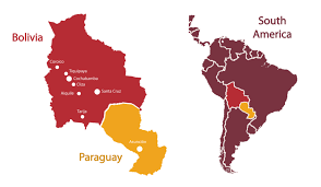 Bolivia v paraguay prediction and tips, match center, statistics and analytics, odds comparison. Solidarity Bridge
