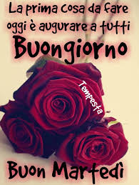 Tante immagini, frasi e foto raccolte per te, vedile subito e condividi le più belle! Pin Su Buon Martedi Immagini Da Mandare Su Whatsapp