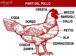 Il cappone ripieno è il piatto principe dei pranzi natalizi, si prepara ripieno e poi viene cotto lessato o al forno. Carne Di Pollo Parti Tagli Valori Nutrizionali Alimentipedia It