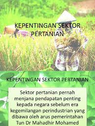 Pertanian di negara kita pada masa kini tentunya sangatlah penting.karena secara tidak langsung pertanian mendukung kemajuan negara indonesia,yaitu melakukan perdagangan ke negara luar (ekspor) yang dapat menghasilkan devisa negara. Kepentingan Sektor Pertanian
