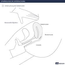 Gynakologische Untersuchung Beim Frauenarzt Info Medizin