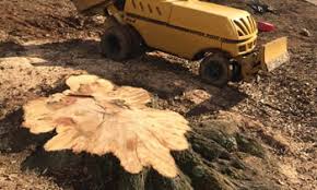 View overland park hotels available for your next trip. Stump Removal Overland Park Stump Removal Overland Park Ks
