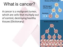 People who have many dysplastic nevi have a greater. What Is Cancer A Cancer Is A Malignant Tumor Which Are Cells That Multiply Out Of Control Destroying Healthy Tissues Dictionary Ppt Video Online Download