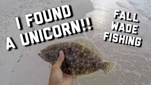 You just need a really great marinade! Pompano Catch And Cook Super Simple Fish Taco And Home Made Salsa Recipe Youtube