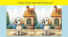 آزمون دقت ذهن: 3 تفاوت دو تصویر سگ بامزه را پیدا کنید!