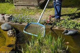 Ein gartenteich ist, wenn gut gepflegt und vernünftig angelegt, eine wahre augenweide. Gartenteich Reinigen Einfach Und Schnell Mit Dem Wd 40 Guide