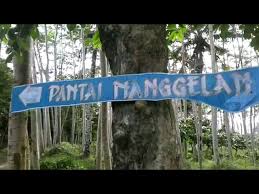 Check spelling or type a new query. Nanggelan Beach Jember Destimap Destinations On Map