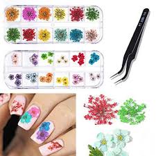 Check spelling or type a new query. 48 Colors Nail Dried Flowers 3d Nail Art Sticker Decals Accessories 7 Ninthavenue Europe