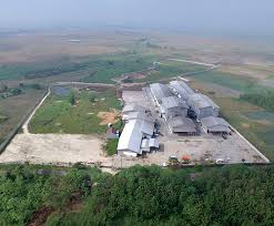 Acara pelepasan ekspor jagung group perusahaan seger agro nusantara (san) sebanyak 12.400 ton ke filipina di pelabuhan anggrek, provinsi gorontalo pada rabu, 17 juni 2020, yang ditandai dengan penyerahan sertifikat dari kepala balai karantina provinsi gorontalo indra dewa (berbaju coklat) kepada kepala cabang pt seger pangan sejahtera (sps) andyka fernadi lesmana, disaksikan langsung oleh. Gudang Fasilitas Seger Agro Nusantara