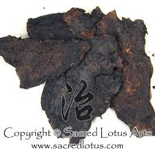 Chinese Herb Sheng Di Huang Chinese Foxglove Root Rehmannia Radix Rehmanniae Glutinosae