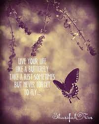 Quote By Sharifahnor Butterfly Quotes Butterfly Beautiful Butterflies