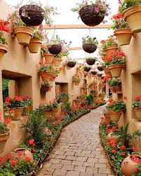 This Is An Alley On Ahmadabad Street In Mashhad Perhaps The Most Beautiful Alley In The World کوچه ای در احمدآ Iran Travel Most Beautiful Gardens Plants