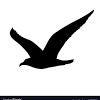 Dans ce nouvel épisode sur les vocations aéronautiques proposé par la ffam, il raconte ses quarante années de pilote … et d'aéromodéliste. Https Encrypted Tbn0 Gstatic Com Images Q Tbn And9gcrcmm8canyk598 T6xlygkboflcpnynkvja60dcg9eyucxnq Vw Usqp Cau
