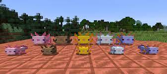 Blue axolotls are by far the rarest variation of the new mob, having an incredibly. All Of The Axolotl Variants From The Latest Snapshot 20w51a Babies Minecraft