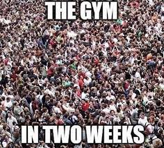 Pin By Vee On Humor Me Christmas Memes Funny New Year Funny Pictures