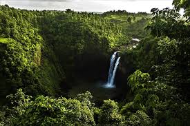 You can also upload and share your favorite cool tree backgrounds. Hd Wallpaper Waterfall 4k Cool Background Image Plant Tree Beauty In Nature Wallpaper Flare