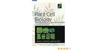 Check spelling or type a new query. Buy Plant Cell Biology Structure And Function Book Online At Low Prices In India Plant Cell Biology Structure And Function Reviews Ratings Amazon In
