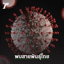 หัวหน้าศูนย์โรคอุบัติใหม่ทางคลินิก รพ.จุฬาฯ เผยรายละเอียดผู้ป่วยไทยรายแรกเดินทางกลับจากแทนซาเนีย พบติดโควิดสายพันธุ์แอฟริกาใต้ ขณะที่. 7mhzclb3xhfwqm