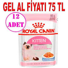 royal canin jelly kitten yas yavru kedi konservesi 85 gr 12 adet amazon pet center yavru kediler kedi amazonlar