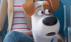 Still, the voice cast was so strong, the adventures were so playful and the animated character design had such oddball appeal (as is always the case with illumination entertainment productions) that it was a. Critic Slams Secret Life 2 For Praising Marriage Masculinity Hollywood In Toto