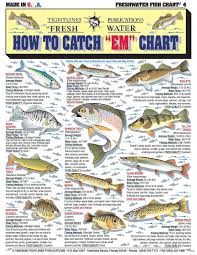 Hudsonriverfishing Trout Fishing Tips Fish Chart Fish