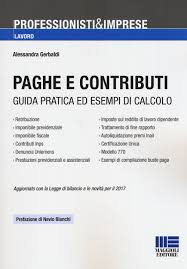 Paghe E Contributi Guida Pratica Ed Esempi Di Calcolo Aggiornato Con La Legge Di Bilancio E Le Novita Per Il 2017 Amazon It Gerbaldi Alessandra Bianchi Nevio Libri