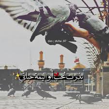 Pin By أناقة طالبة On رمزيات حسينية Islamic Pictures Imam Hussain Wallpapers Imam Hussain Poetry