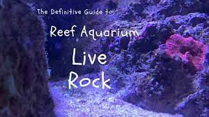 Book your amtrak train and bus tickets today by choosing from over 30 u.s. The Definitive Guide To Reef Aquarium Live Rock Saltwater Aquarium Blog