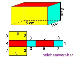 Buatlah Gambar Jaring Jaring Balok Dengan Ukuran Panjang 5 Cm Lebar 4cm Tinggi 3 Cm Brainly Co Id